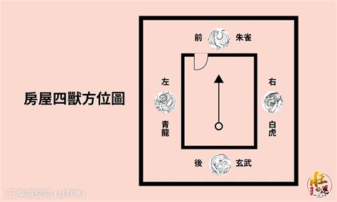 大門龍邊碰壁|【龍邊撞壁化解】龍邊碰壁，居家風水上怎麼破？教你龍邊撞壁化。